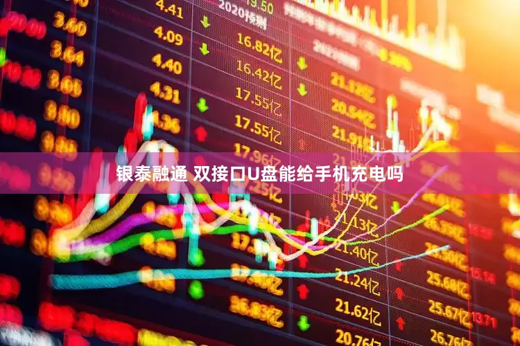 银泰融通 双接口U盘能给手机充电吗